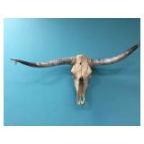TEXAS LONGHORN SKULL - 52" SPREAD TEXAS LONGHORN SKULL - 52" SPREAD