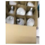 11 Philips 65 Watt Interior Defuser Light Bulbs