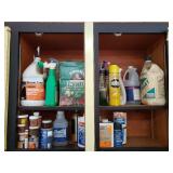 Cabinet Full of Household Chemicals