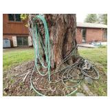 Pair of Garden Hoses