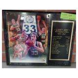 LARRY BIRD #33 BOSTON CELTICS 1979-1992