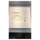Audian LED Ceiling Light Fixture, 12W