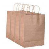 1 Box of 150ct Craft Retail Bags 5.5x5.1x8.2