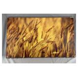 Infared Wall Mount, tested works fine