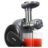 Slow Juicer