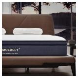 Molblly 10" Individually Wrapped Coils Innerspring