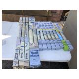 Lot of 13 Laminated US & World Maps