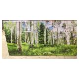 Lot of 3, Decotrator Canvases, Beech Tree, 39x20"