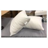 Pair of 20x20 square pillows