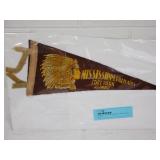 Mississippi Palisades State Park IL Mini Pennant