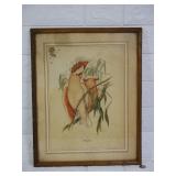 Pictures Lot, Small Portrait of Victorian Girl,