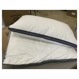 pair micriofiber 20x29 bed pillows