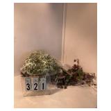 2 bunches of assorted greenery