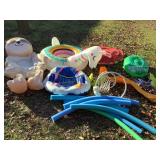 Pool Float Lot