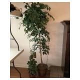 Artificial Plant Lot