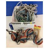 Large Bungee Strap Lot