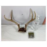 Antlers and Split Shot