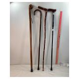 Canes & Walking Sticks