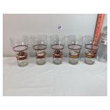 Redskins Superbowl XVII Glasses