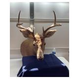 Deer Mount