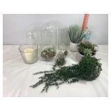 Glass Globes & Succulents