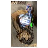 Ingersoll Rand Roughneck Chain Hoist
