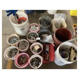 Bolts, Washers, Nuts & Misc Lot