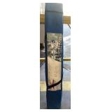 10' x 10' Instant Canopy