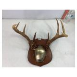 10pt Buck Mount