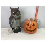 Owl Decoy & Lighted Pumpkin