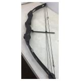 Black Bear Bow