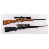 Two .17 Caliber Varmint Rifles