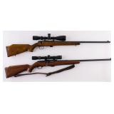 Two .22 Rifles