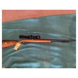 Marlin Model 60W .22LR
