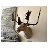 Caribou Mount Caribou Mount