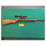 Marlin 60 22LR