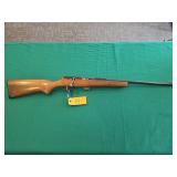 Glenfield 20 22LR