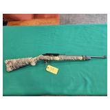 Ruger 10/22 22LR