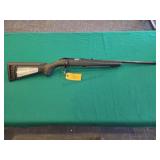 Ruger American Rimfire 22 Mag