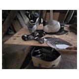 Goose Decoys