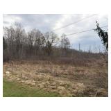 Vacant Land on South Pearl (+/- 199' x 338')