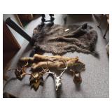 Antler Mounts, Fox Hide, Buffalo Rug