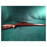 Mossberg 151M .22LR