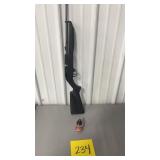 CROSMAN 760 PUMPMASTER BB GUN W/ BBS