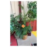 3 ARTIFICIAL PLANTS