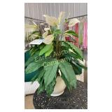 FAUX PLANT IN WHITE PLANTER FAUX PLANT IN WHITE PLANTER