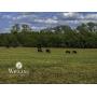 5/12 153 +/- Ac. | Productive Sm. Grain/Livestock Land