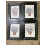 (4) Prints- Chives, Basil, Rosemary, Oregano-