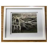 Framed River Bank Photo