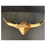 25' Mounted steer horn wall hanging